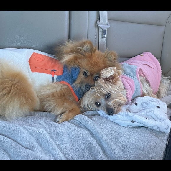 Meet your Posher, Mary - Picture 3 of 8